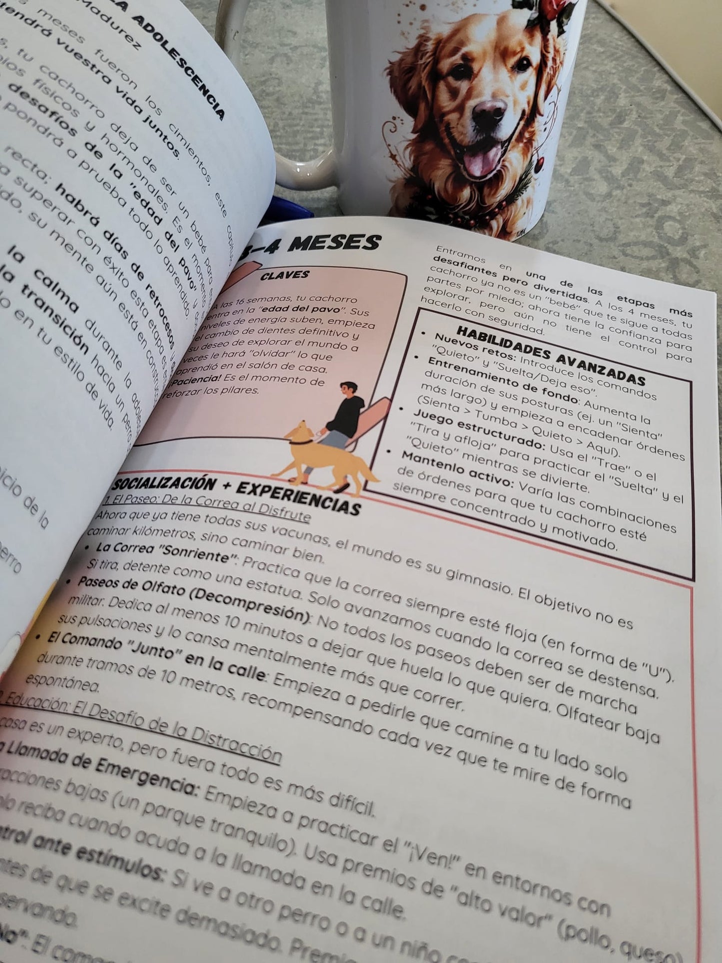 Libro "Vínculo Infalible: el Método Completo para Criar un Perro Equilibrado y Feliz"