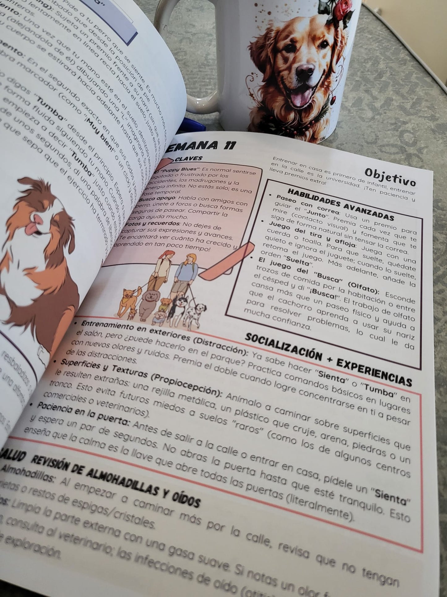 Libro "Vínculo Infalible: el Método Completo para Criar un Perro Equilibrado y Feliz"